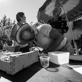 Activités au jardin