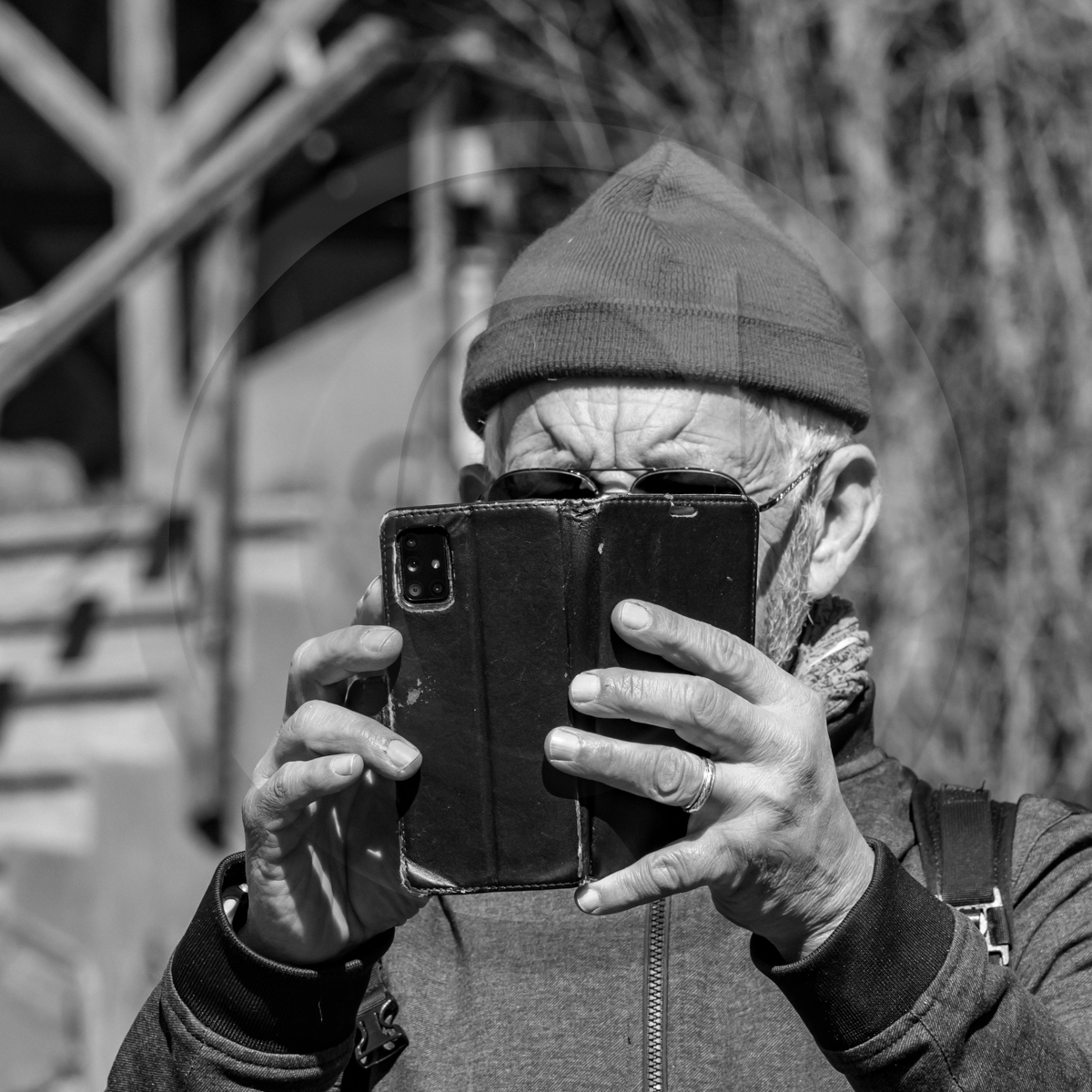 10 avril 2022 : Initiation à la greffe d'arbres fruitiers