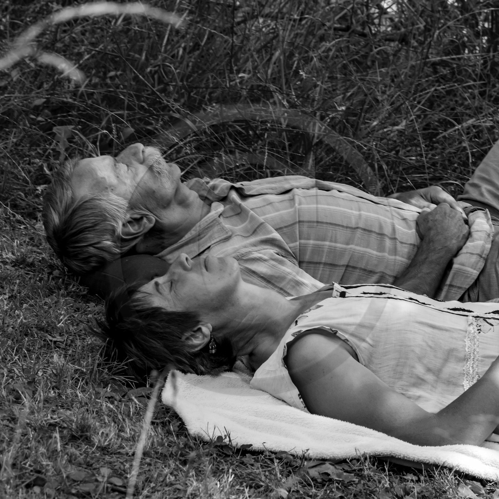 21 juillet 2021 : Sieste musicale avec Matthieu Duval