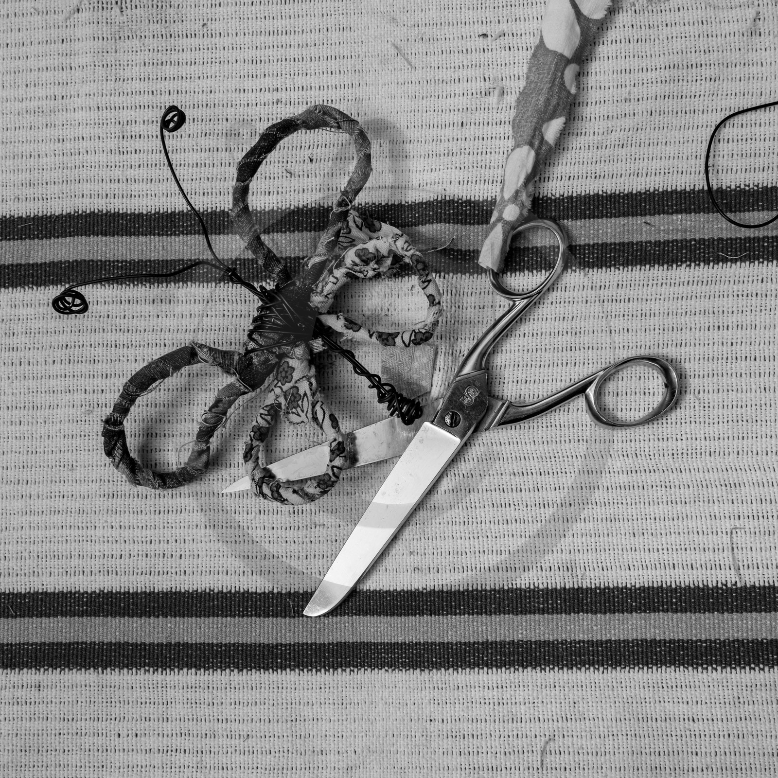 11, 12 et 13 août 2021 : L'Echo des Mots