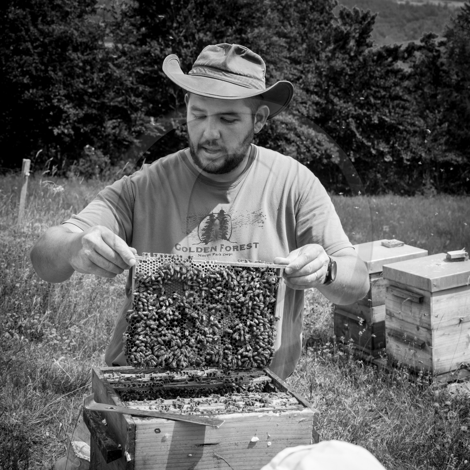 Visite au Rucher des Noisetiers
