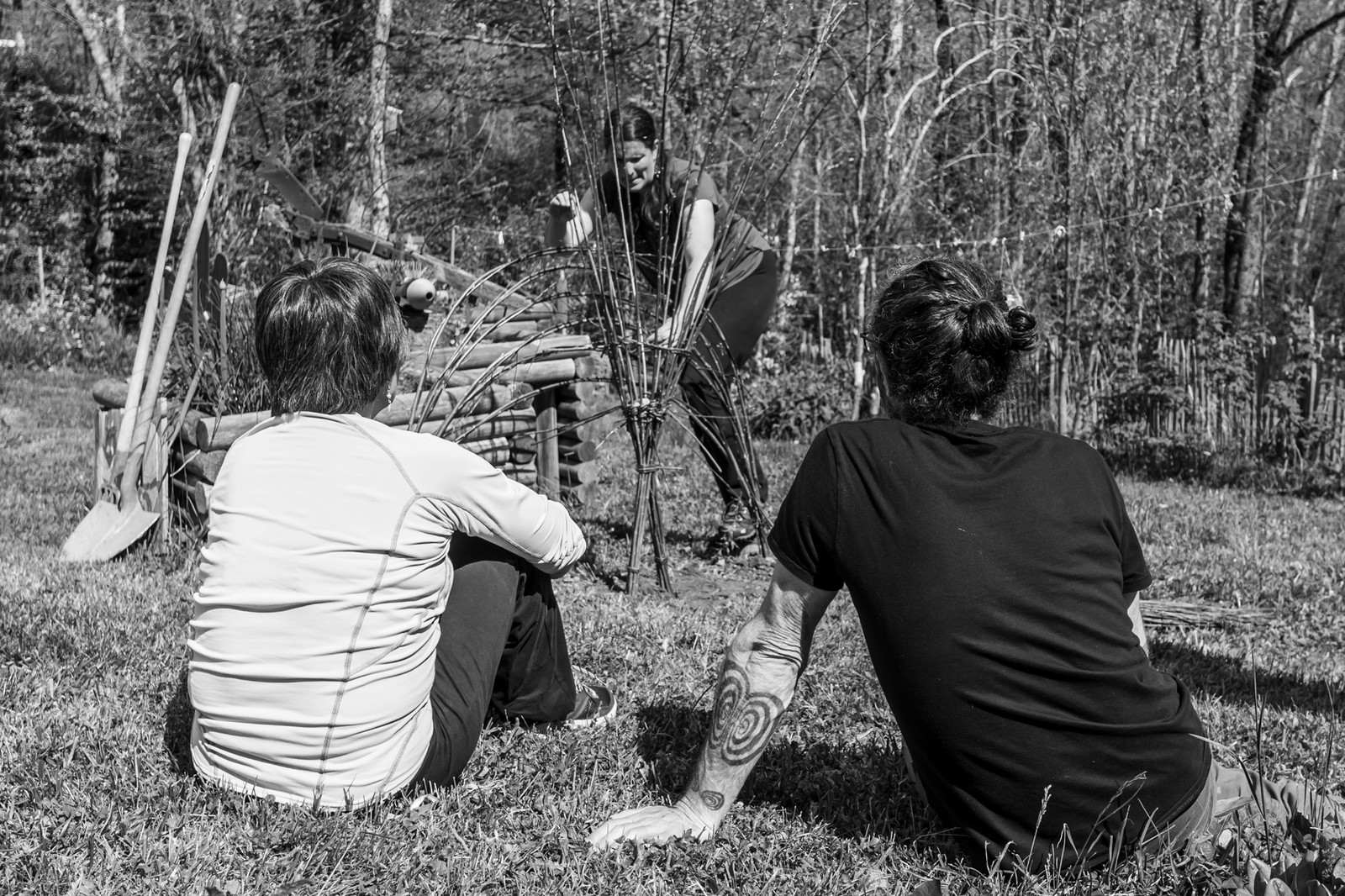 30 avril 2025 : Un oiseau en osier