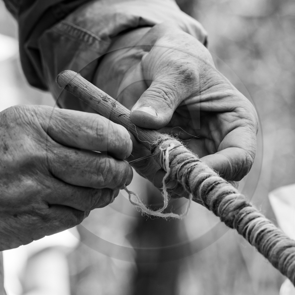 Atelier laine et promenade au jardin Atelier laine et promenade au jardin