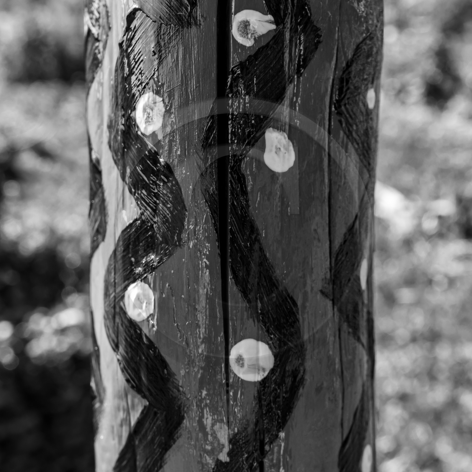 18 août 2021 : une journée avec l'APF