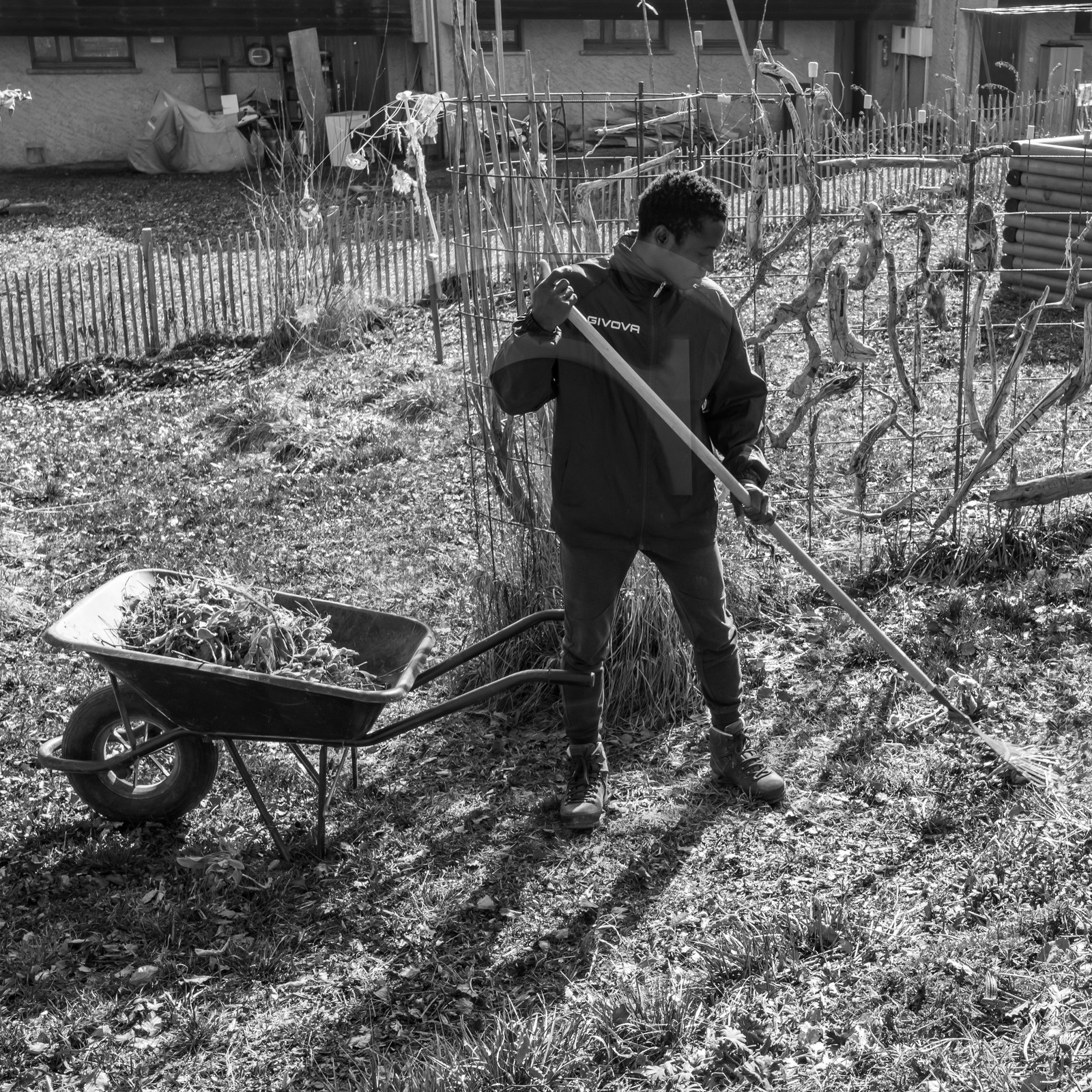 24 février 2021 : on taille, on prépare le jardin... 24 février 2021 : on taille, on prépare le jardin...