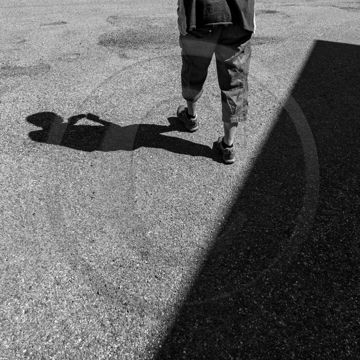 Atelier laine et promenade au jardin Atelier laine et promenade au jardin