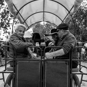Promenade en calèche et contes