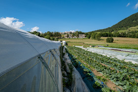 Légumontagne : maraichage biologique à Ancelle