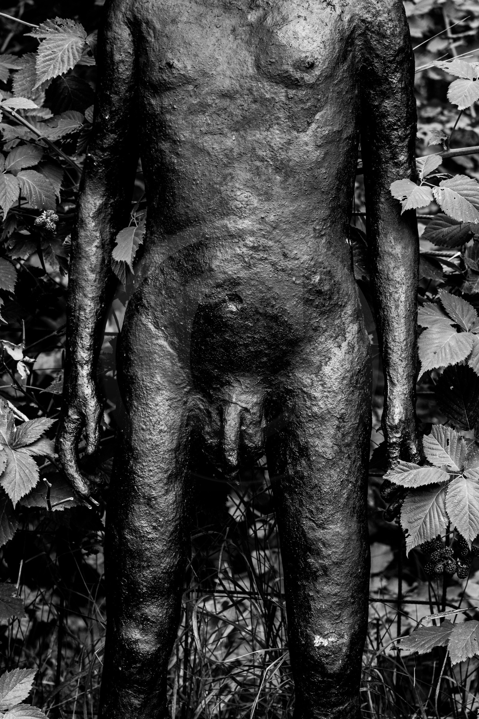 Exposition La forêt d'hommes, une création de Barbara Fougnon, artiste plasticienne Exposition La forêt d'hommes, une création de Barbara Fougnon, artiste plasticienne