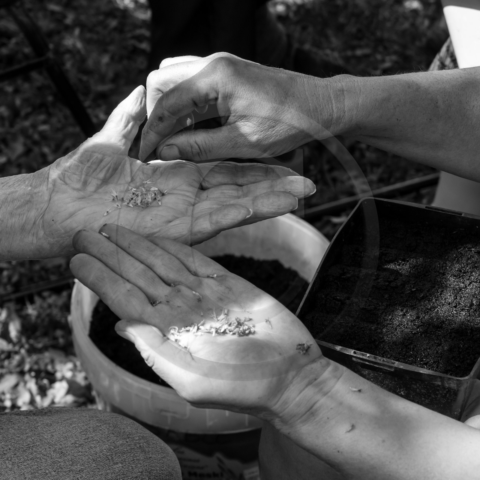 23 août 2017 - Animations