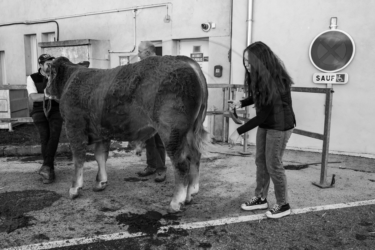Rencontres paysannes à Saint-Bonnet en Champsaur