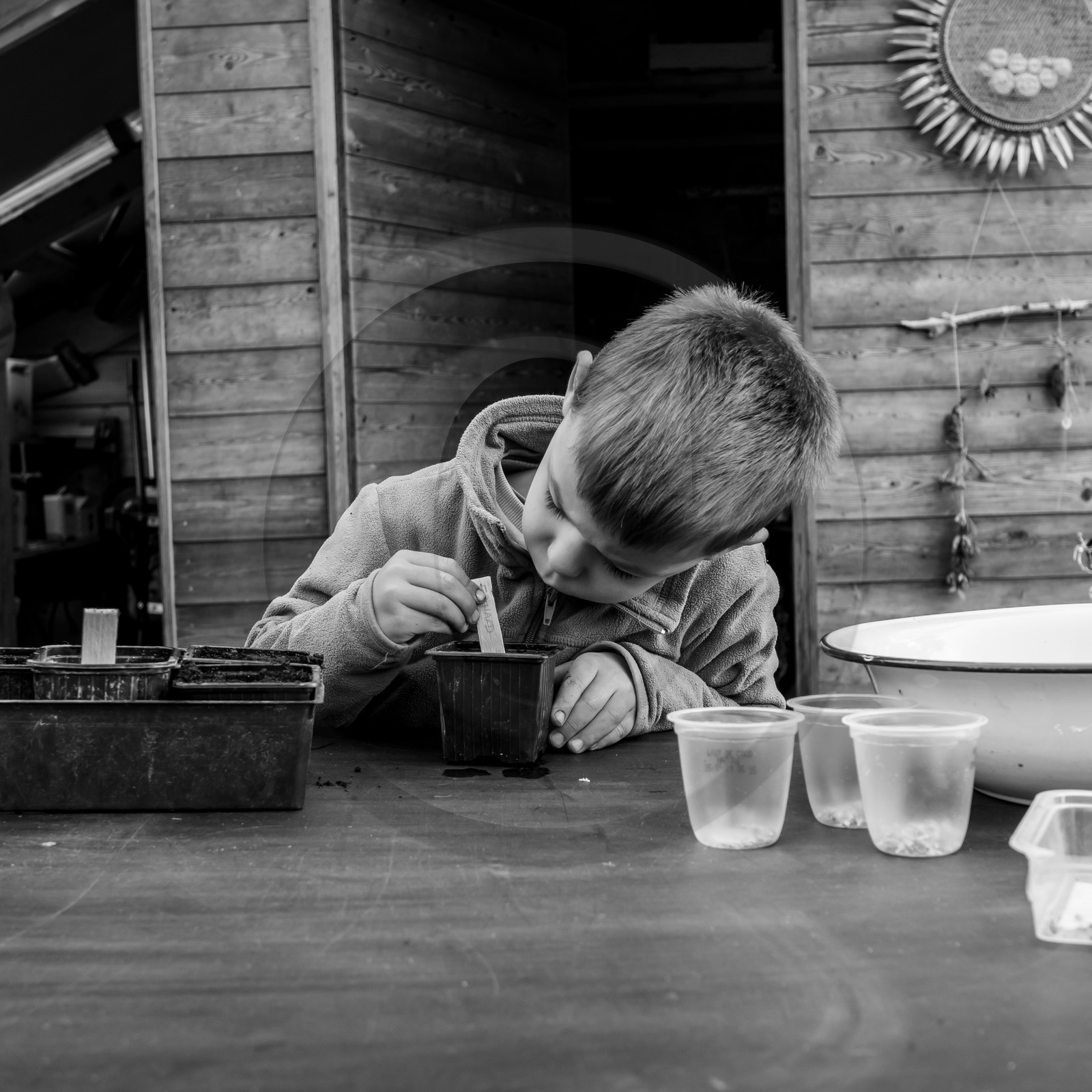 Semis, tournesols et jeux