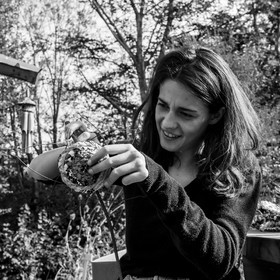 Semis, tournesols et jeux