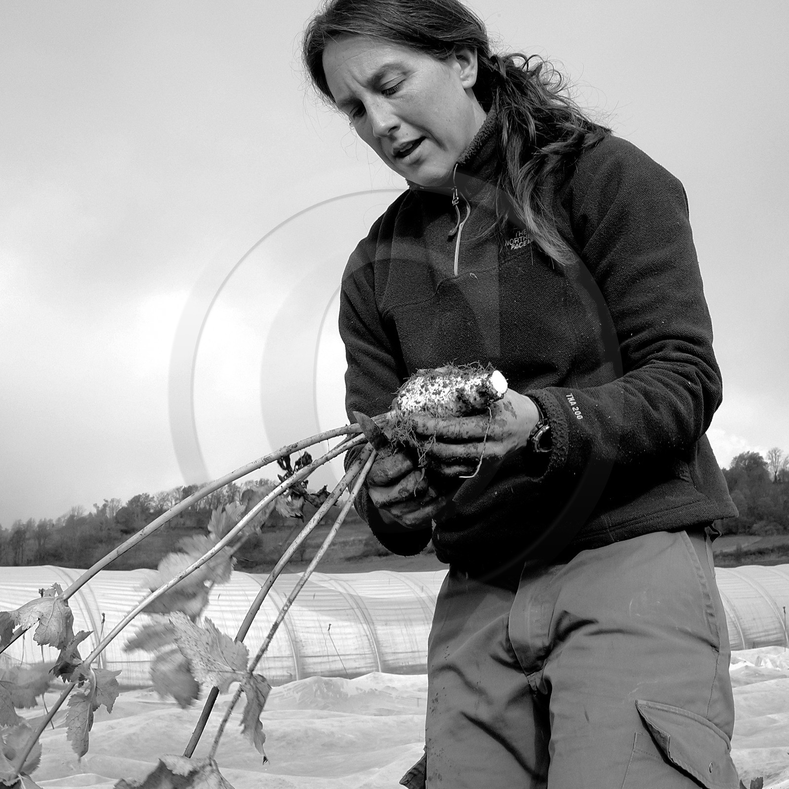 Sophie Jaussaud, maraichère à Ancelle