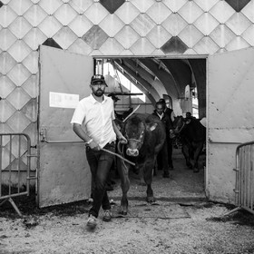 Rencontres paysannes à Saint-Bonnet en Champsaur