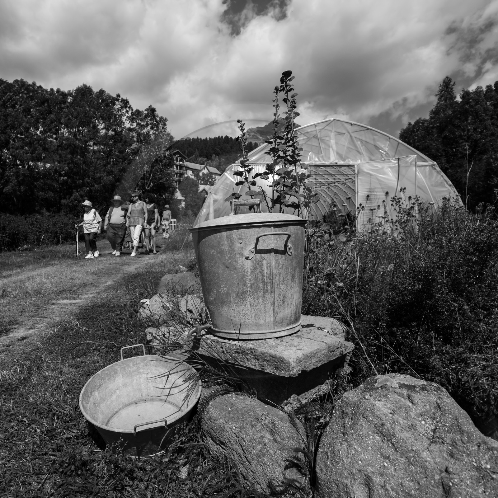 04 septembre 2019 : Visite au jardin des Hautes Terres 04 septembre 2019 : Visite au jardin des Hautes Terres