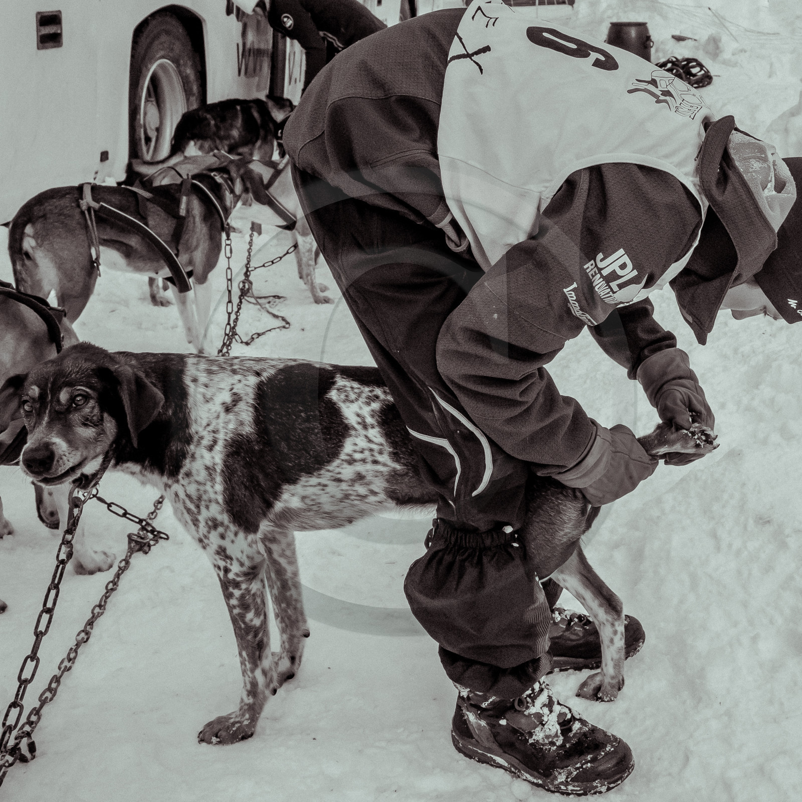 La Valgaude Traineau 2015