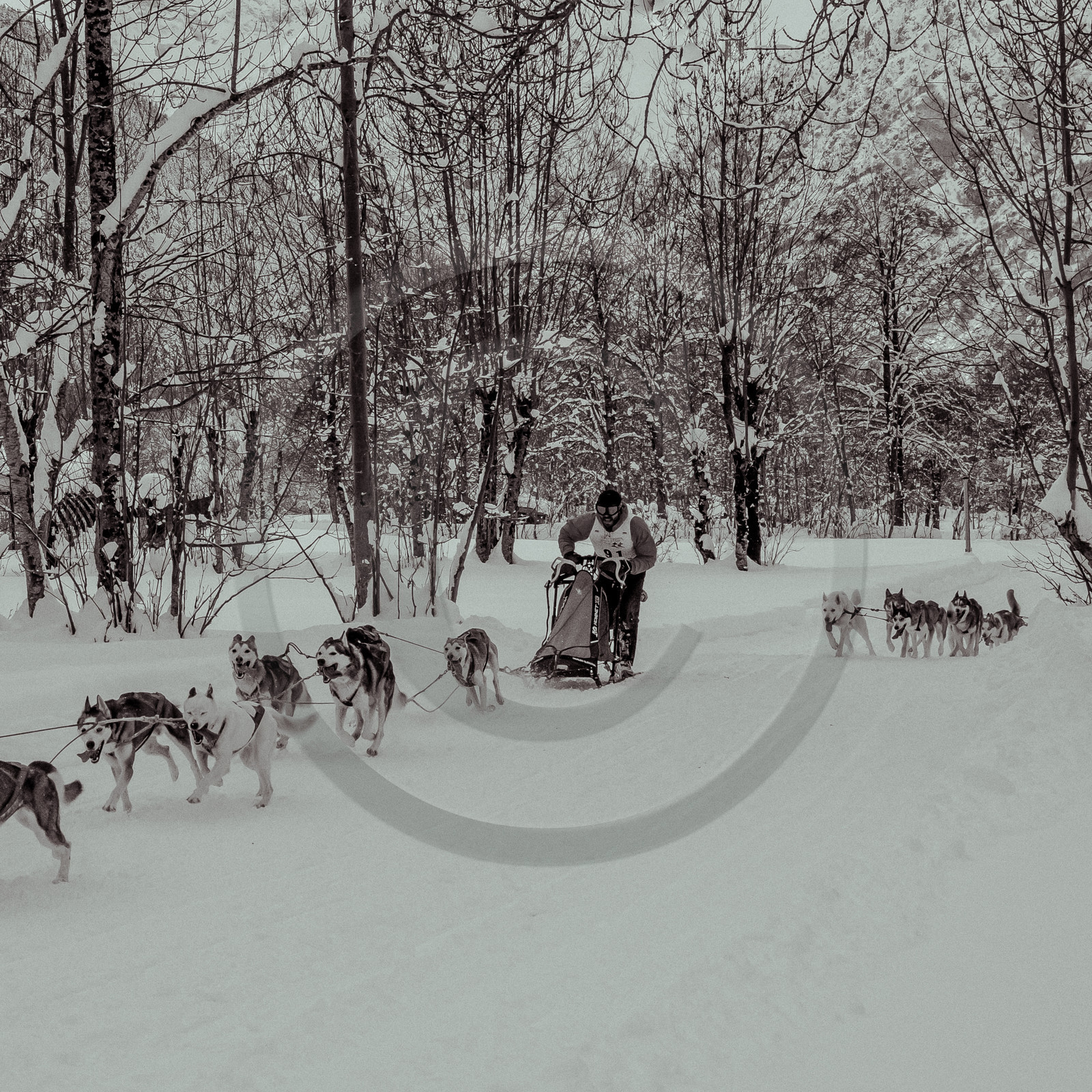 La Valgaude Traineau 2015