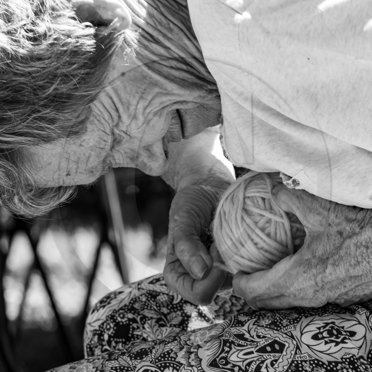 Journée des aidants et des aidés