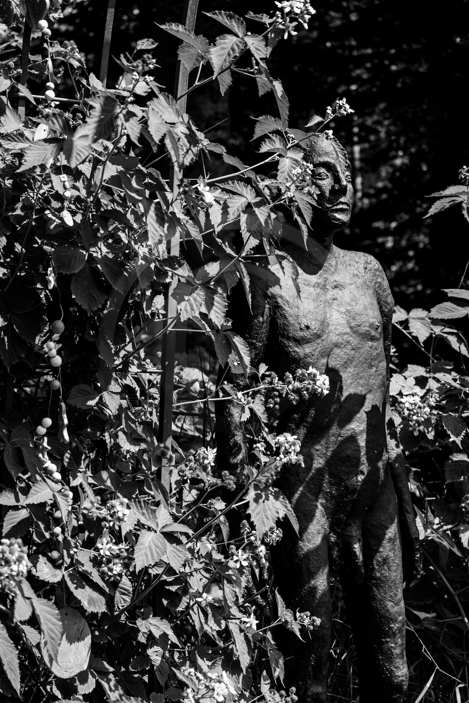 Exposition La forêt d'hommes, une création de Barbara Fougnon, artiste plasticienne Exposition La forêt d'hommes, une création de Barbara Fougnon, artiste plasticienne