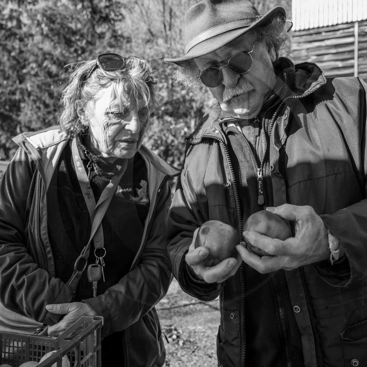 05 novembre 2022 : des pommes et des soupes