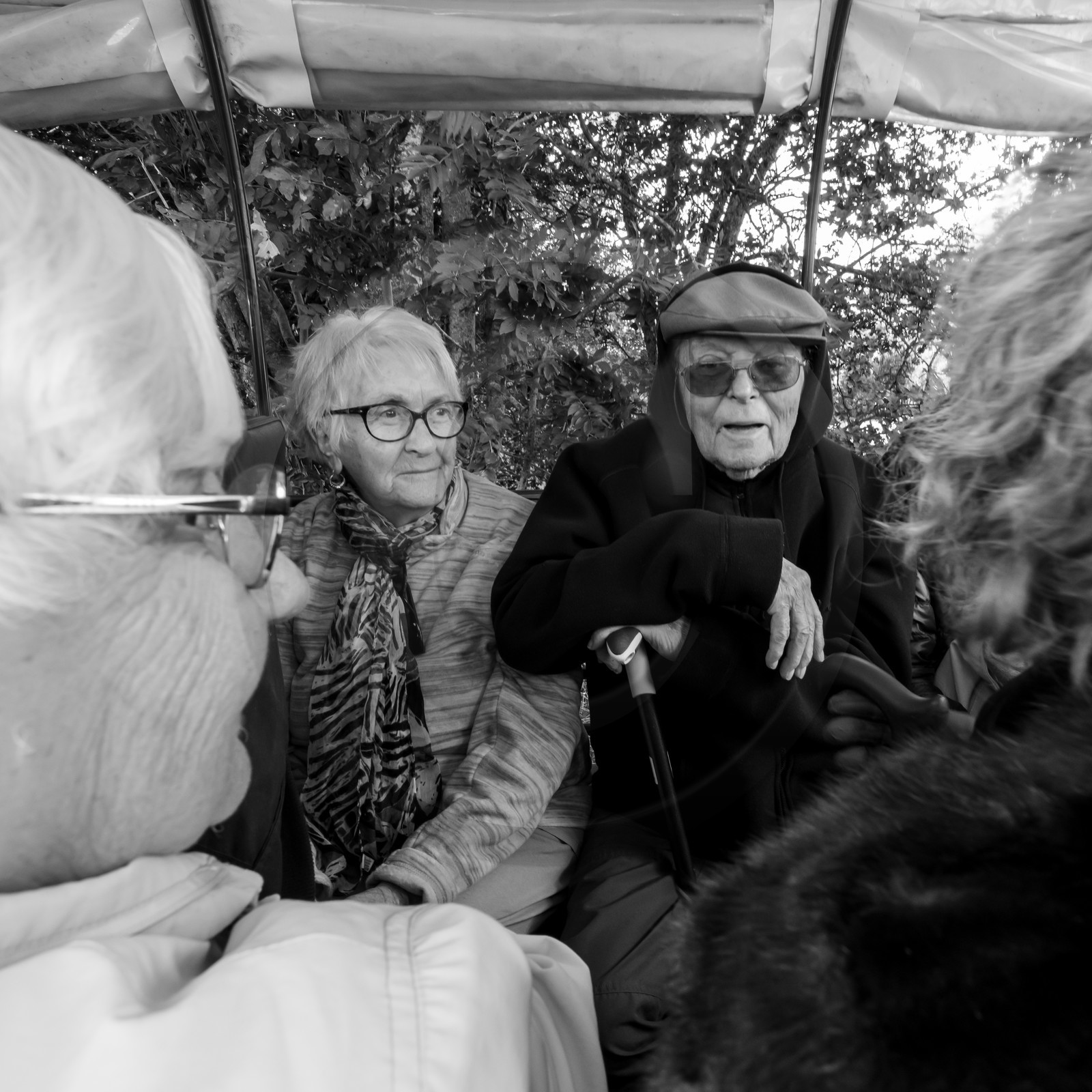 25 septembre 2019 : Promenade en calèche 25 septembre 2019 : Promenade en calèche
