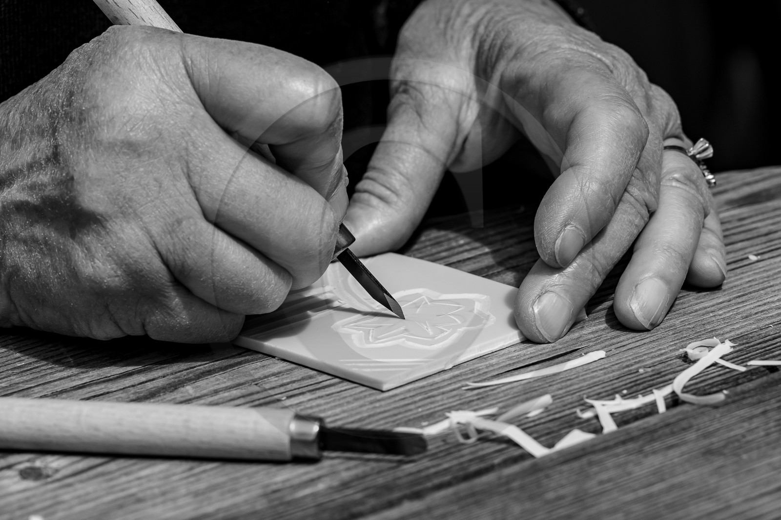 05 juin 2023 : journée des aidants et des aidés