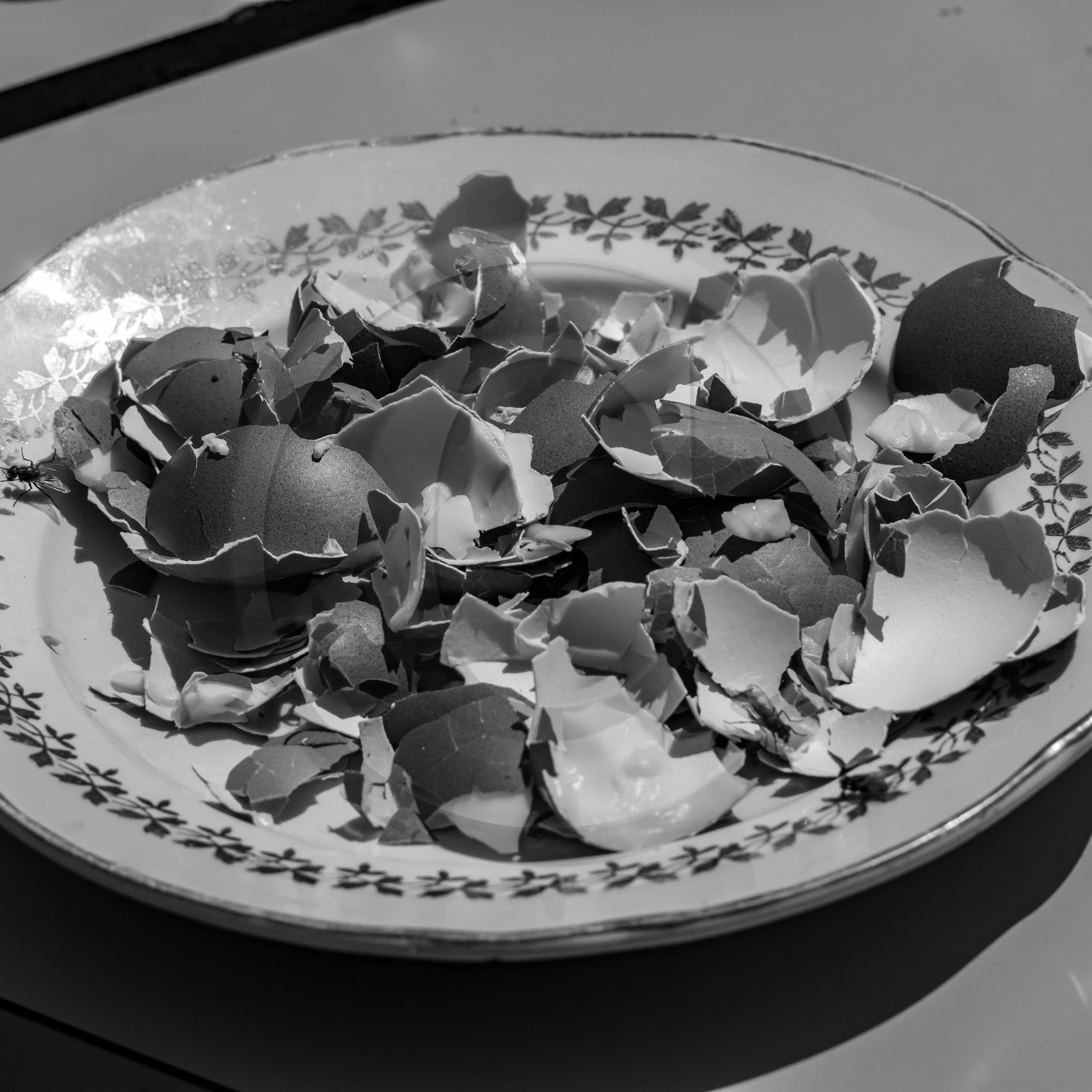 18 août 2021 : un barbecue avec l'APF