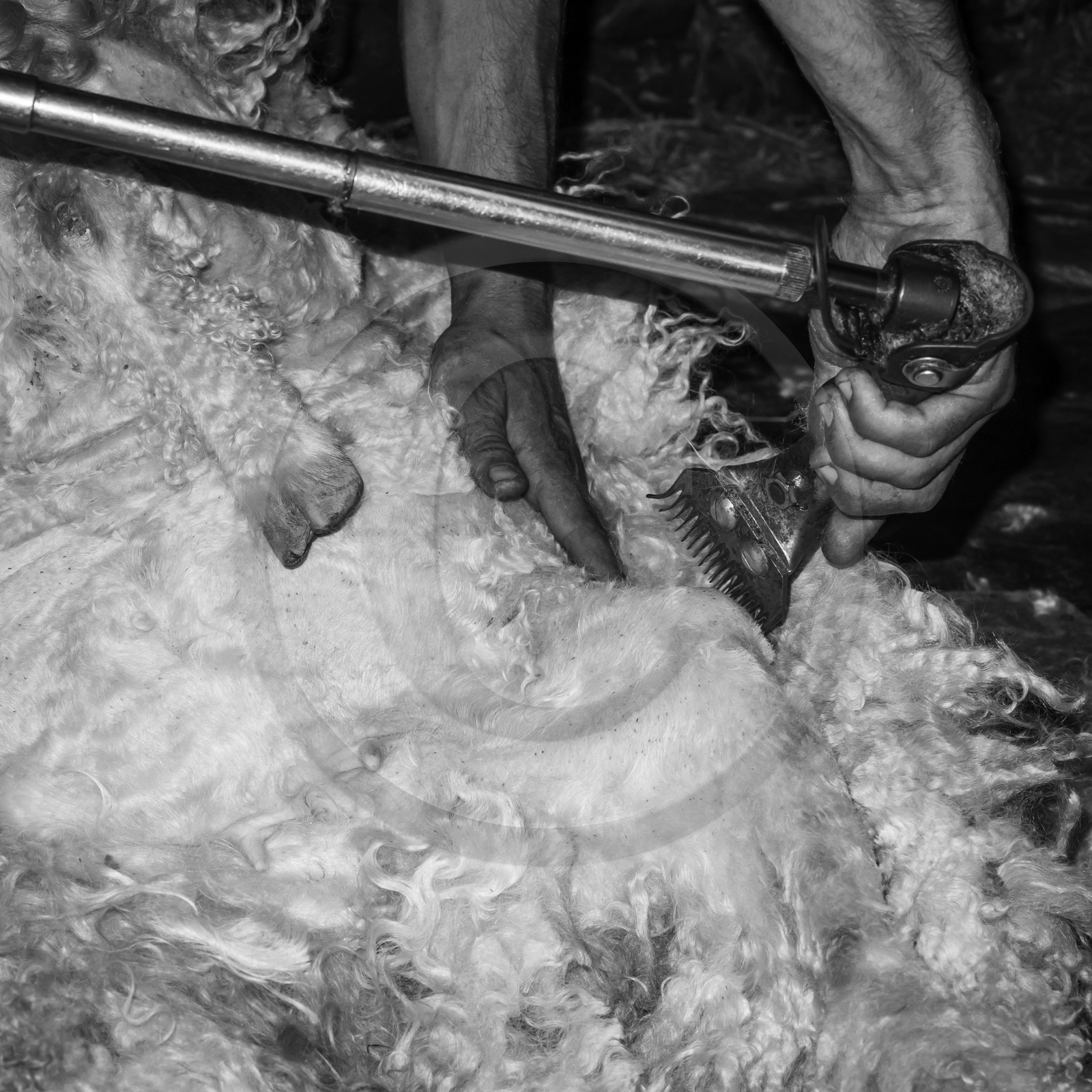 Le mohair arc en ciel