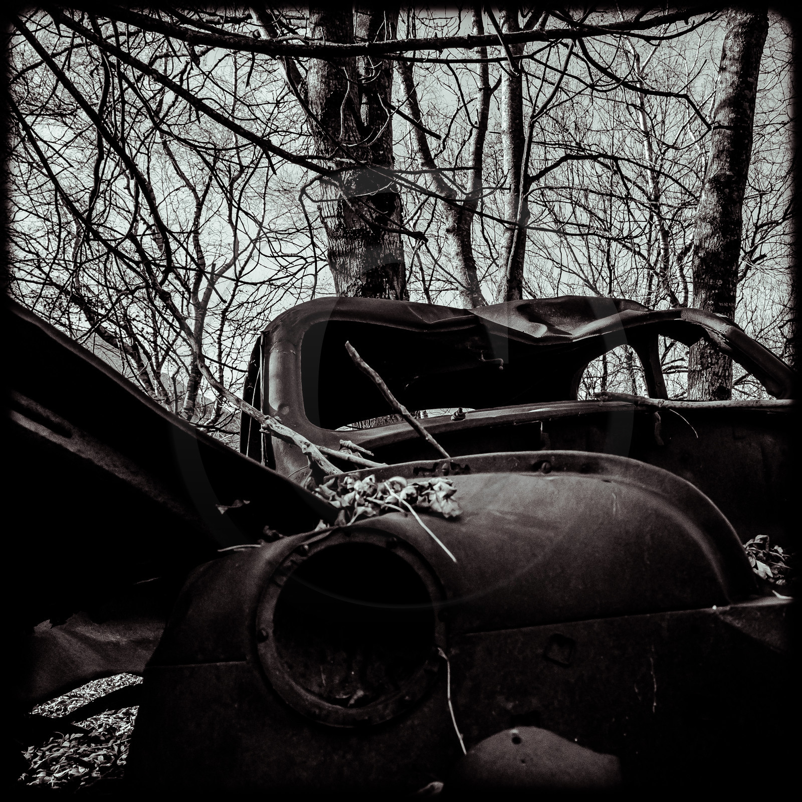 Un cimetière de voitures