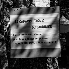 11, 12 et 13 août 2021 : L'Echo des Mots