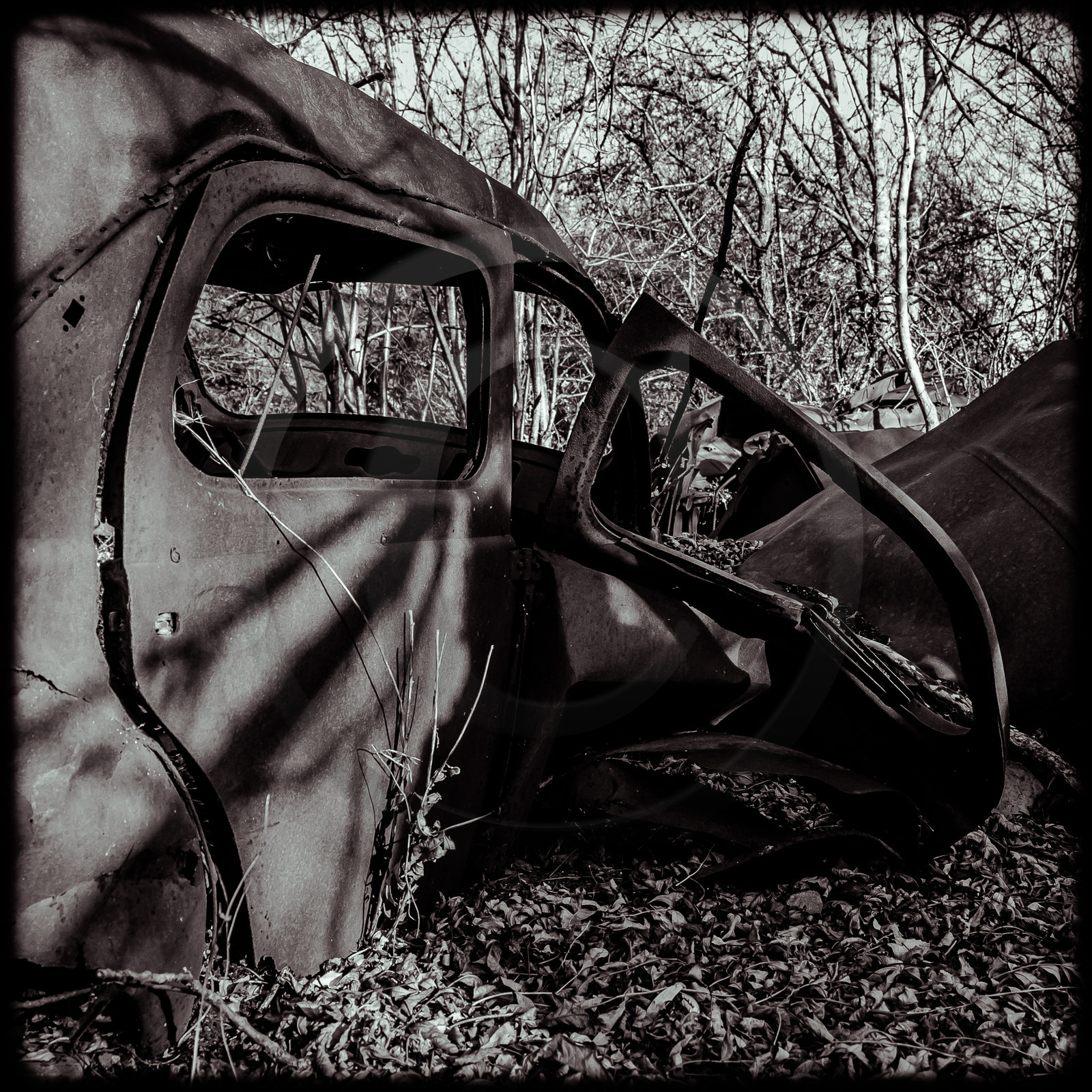 Un cimetière de voitures Un cimetière de voitures