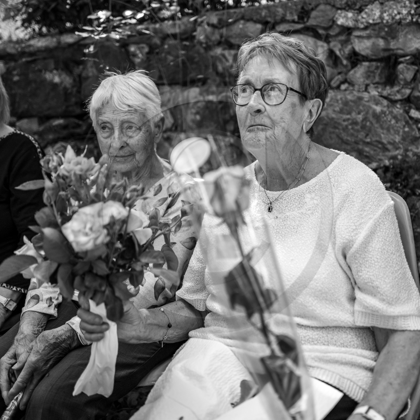 21 juin 2023 : Découverte botanique