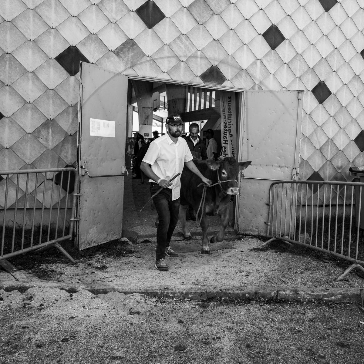 Rencontres paysannes à Saint-Bonnet en Champsaur