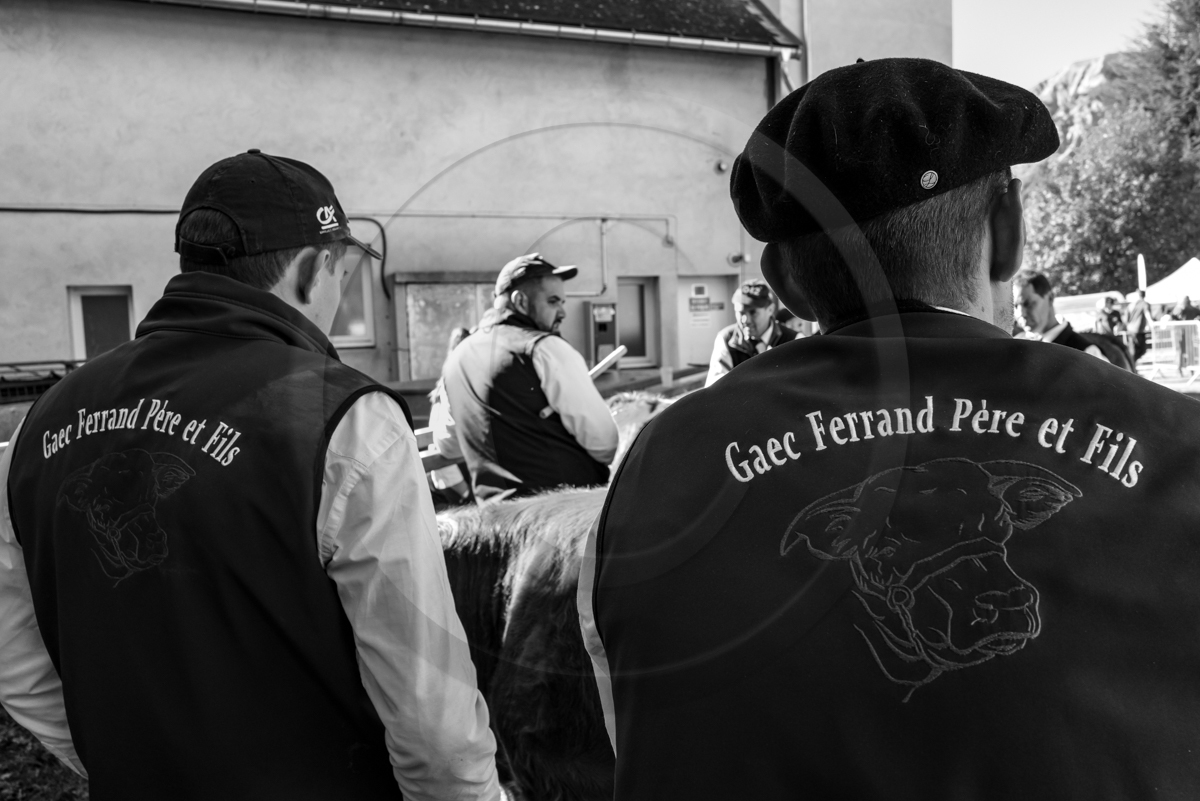 Rencontres paysannes à Saint-Bonnet en Champsaur