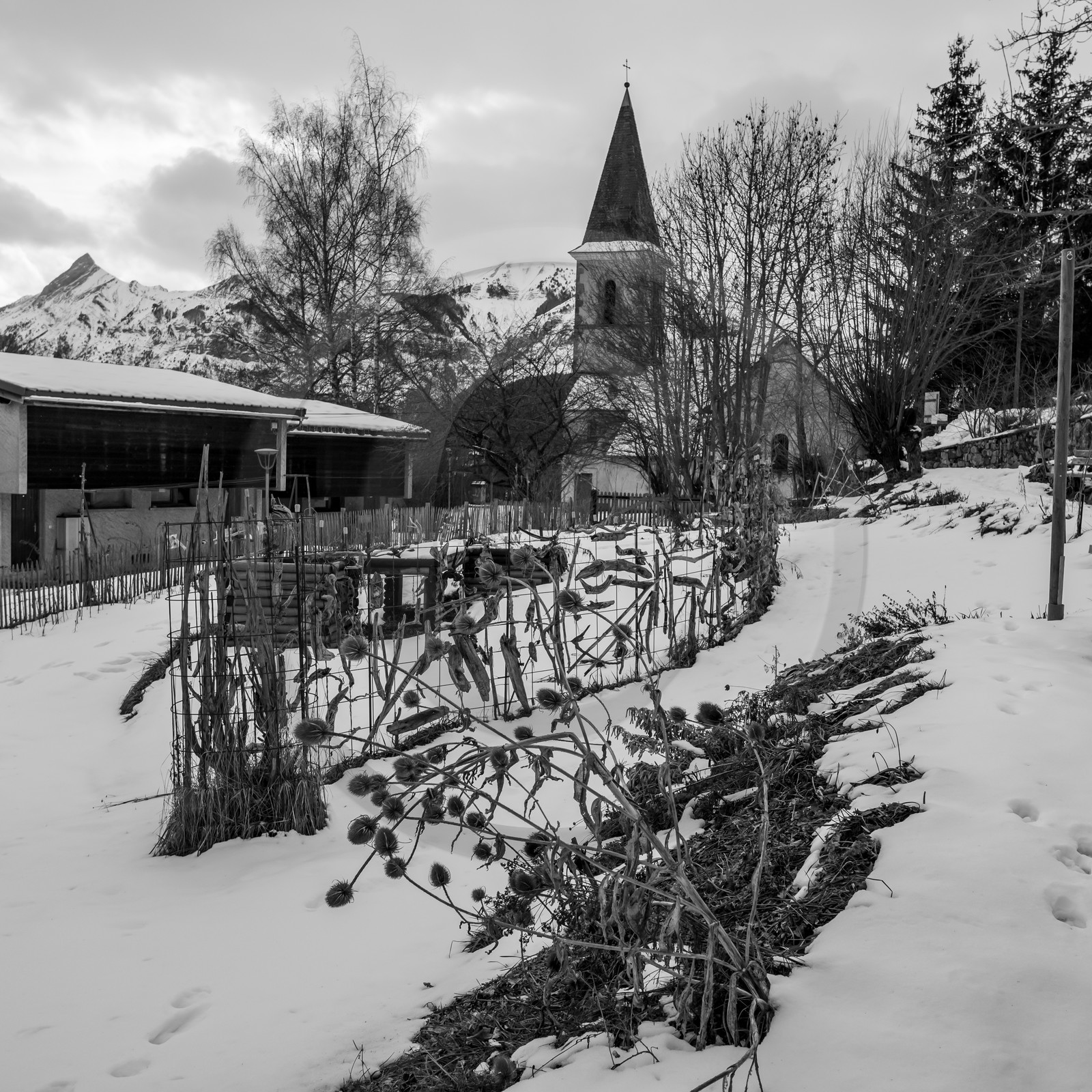 21 janvier 2021 : l'Ouort sous la neige