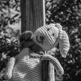 16 mai 2025 : Journée des aidants