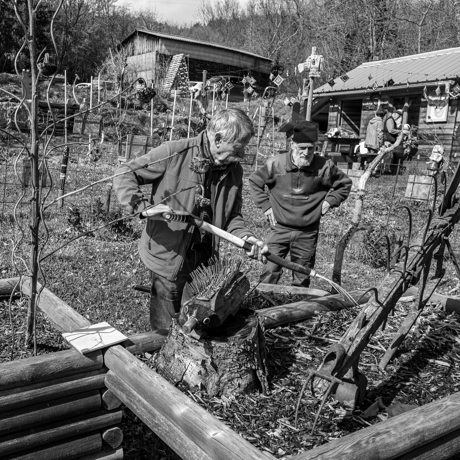 03 avril 2024 : Laine et aménagements au jardin