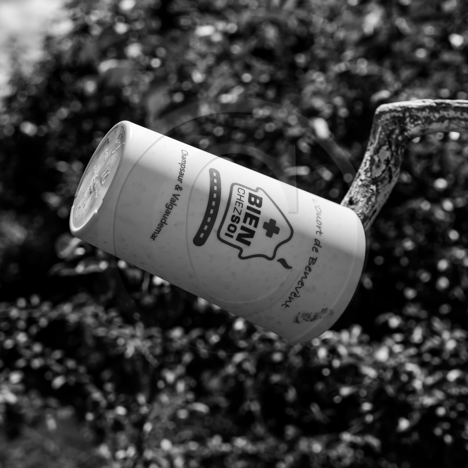 23 juin 2021 : Une après-midi à l'Ouort