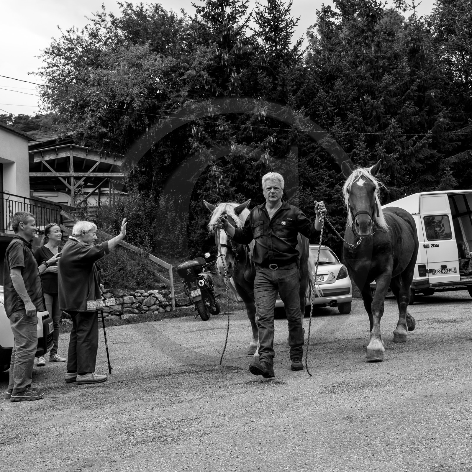 Promenade en calèche et contes Promenade en calèche et contes
