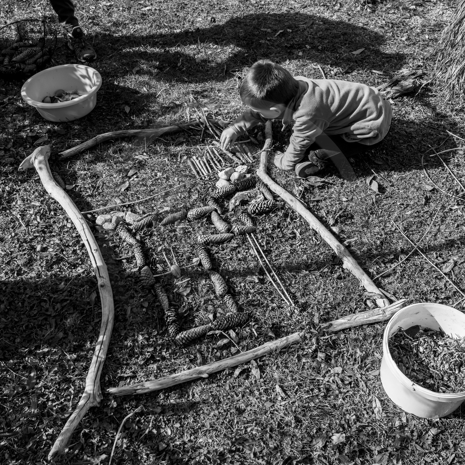 Semis, tournesols et jeux Semis, tournesols et jeux