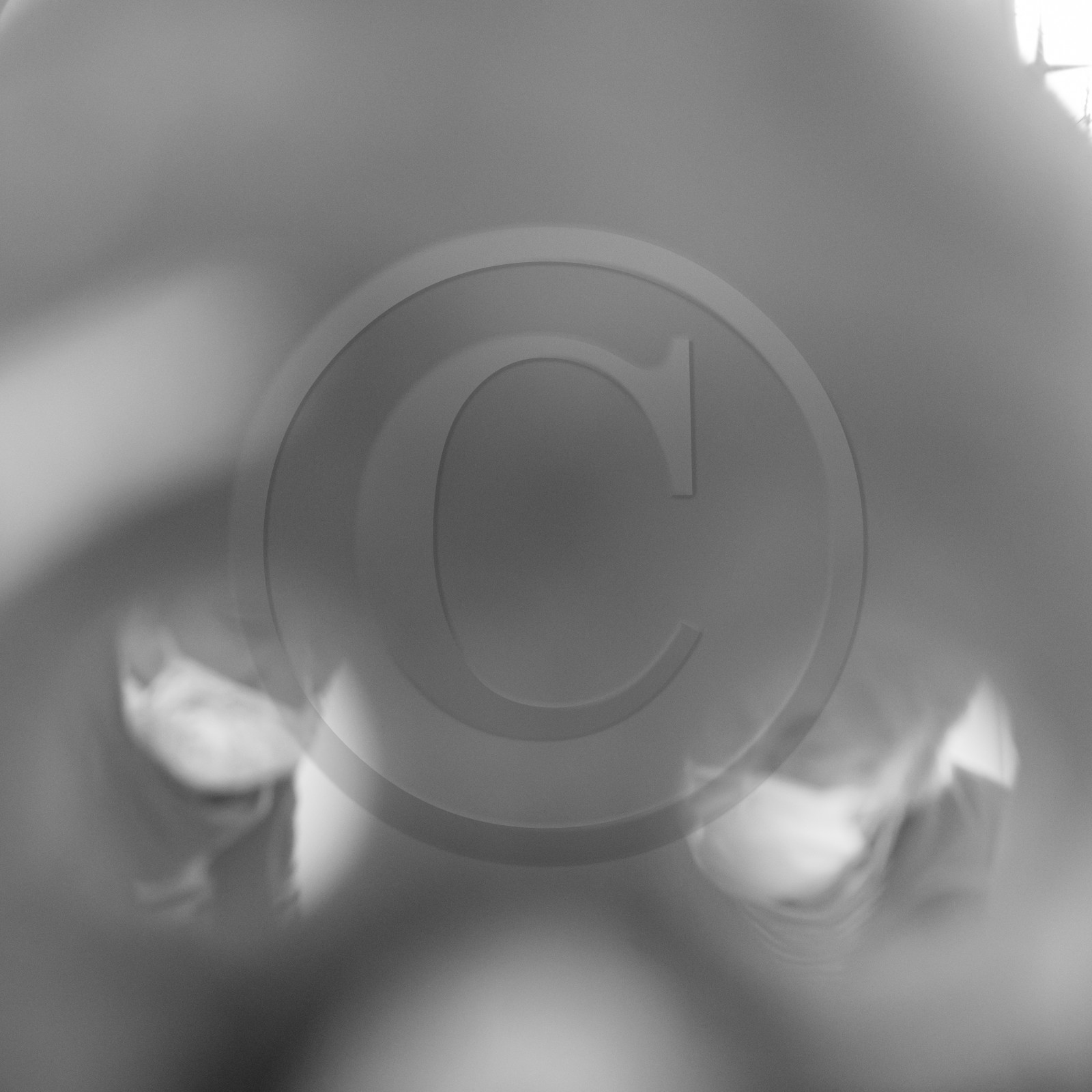 12 mai 2021 : Fabrication de masques 12 mai 2021 : Fabrication de masques