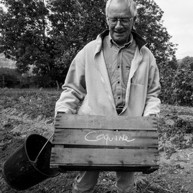La récolte des pommes de terre avec un cheval