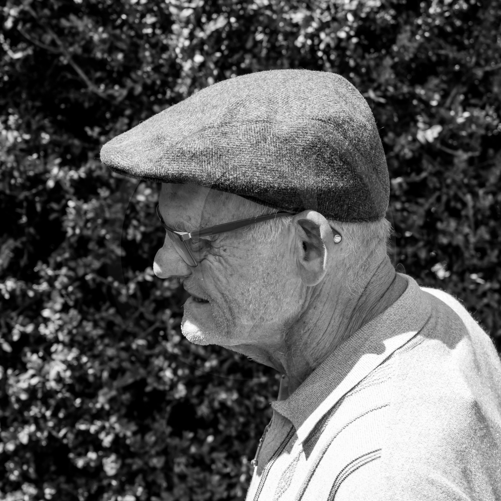 21 juin 2017 - Installation des épouvantails