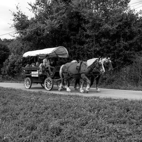 Promenade en calèche et contes