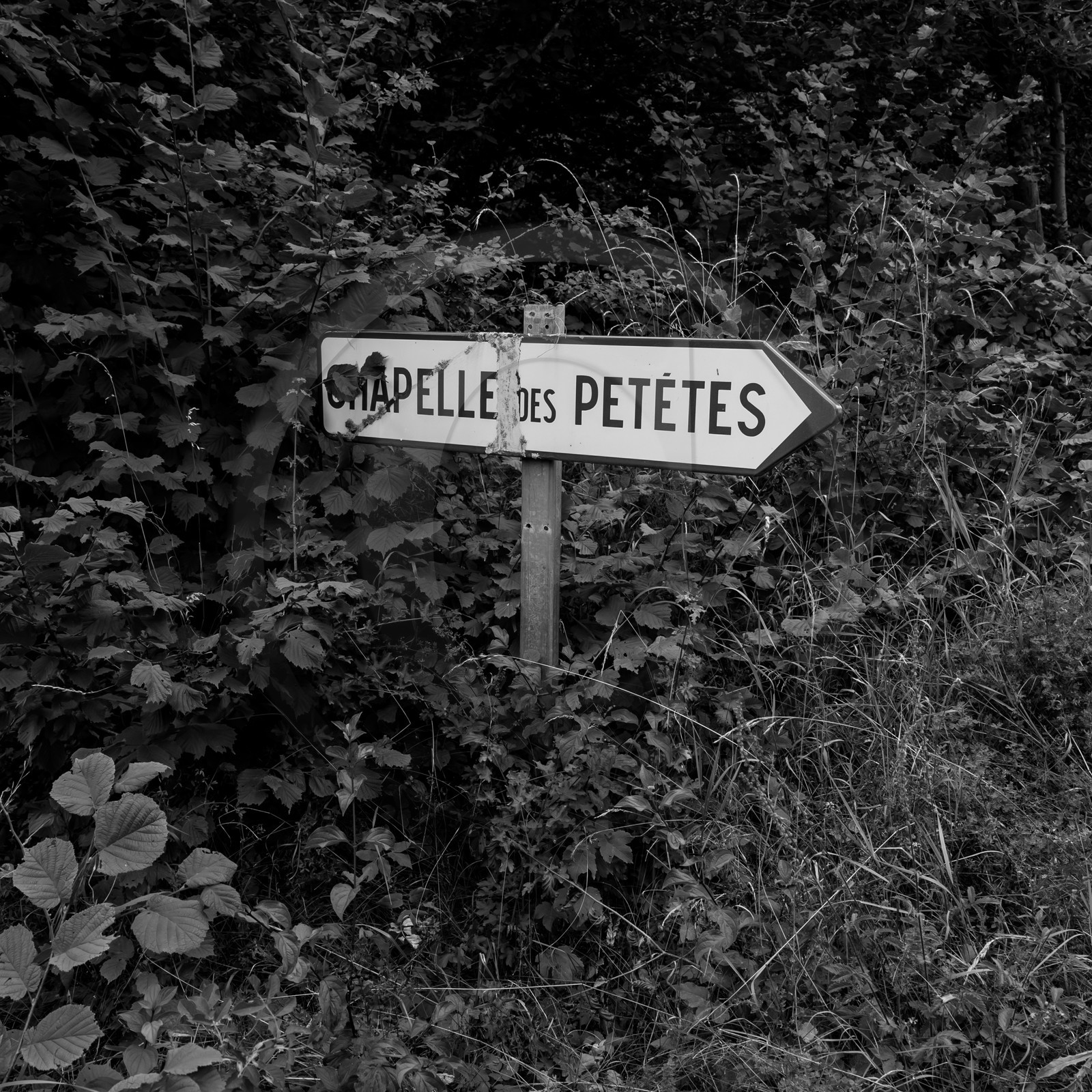 Promenade en calèche et contes