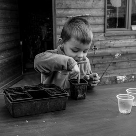 Semis, tournesols et jeux