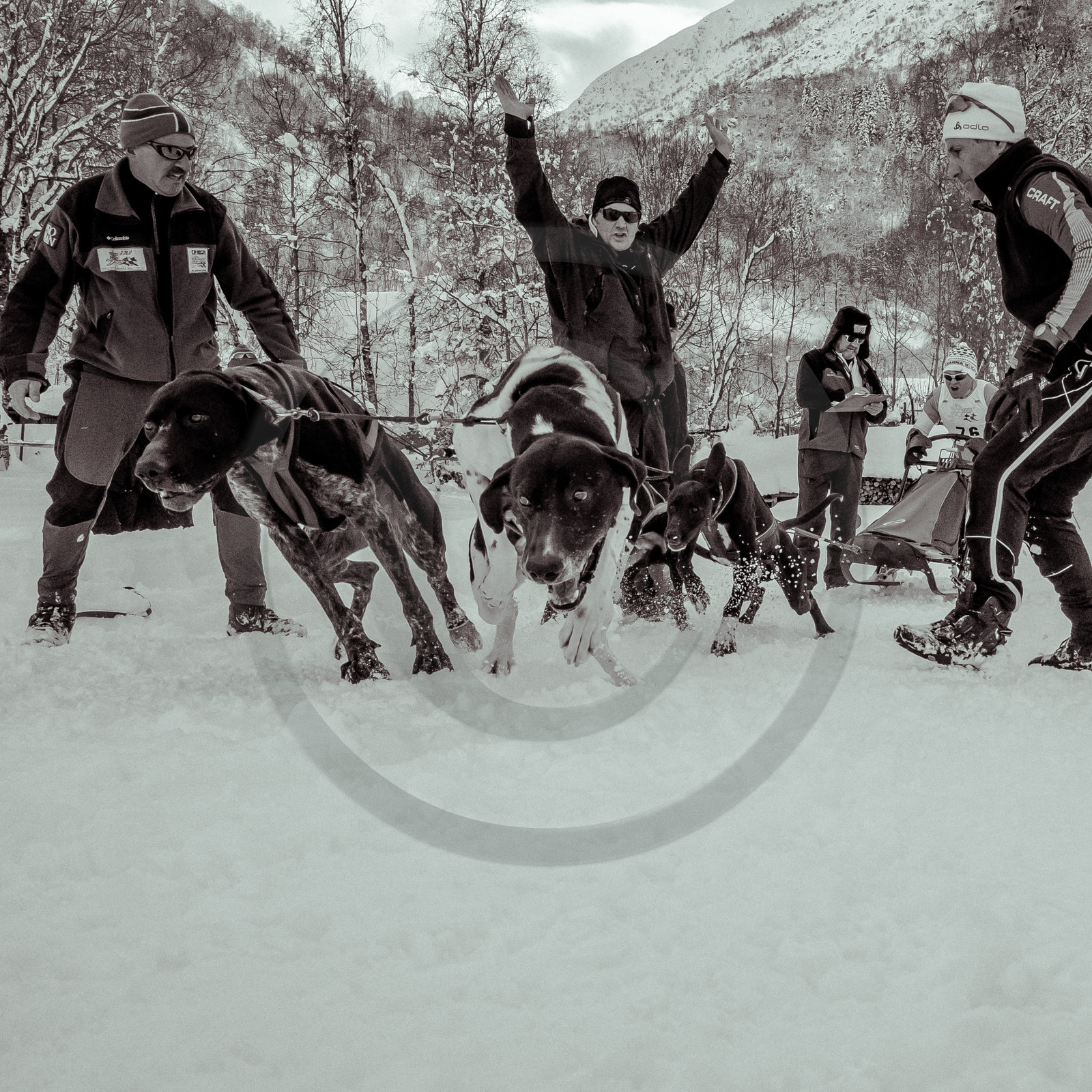 La Valgaude Traineau 2015