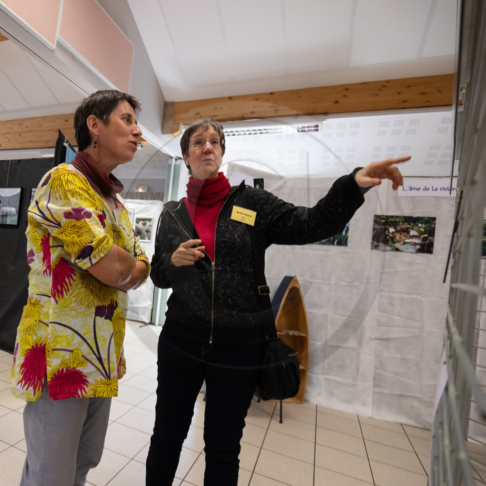 Automne photographique en Champsaur 2019 - Henri Bosco