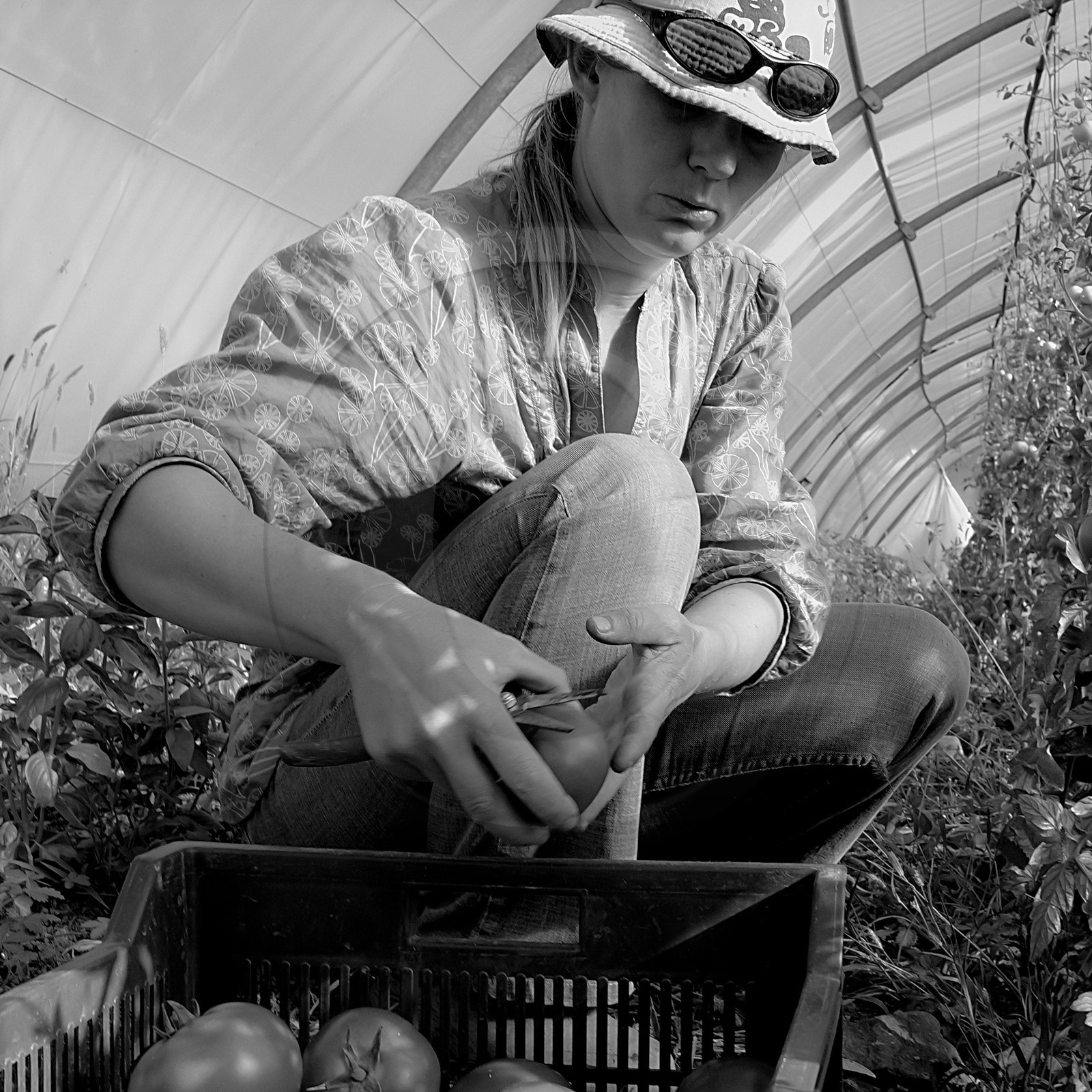 Sylvie Saint-Aubin, maraichère à Pelleautier